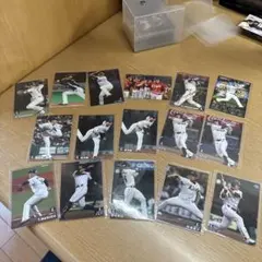 プロ野球チップス　カード　埼玉西武ライオンズ