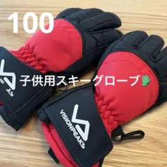 子供用 雪遊び スキー VISION PEAKS スキーグローブ 手袋 100