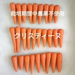 ★栽培期間中農薬不使用★小さい人参 クリスティーヌ ジュース、サラダ、お漬物にのサムネイル