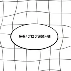 6v6⭐︎プロフ必読⭐︎様