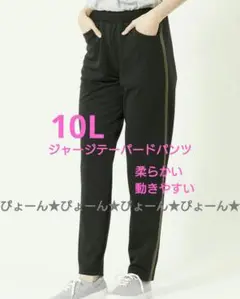 大きいサイズ10L★1点限り