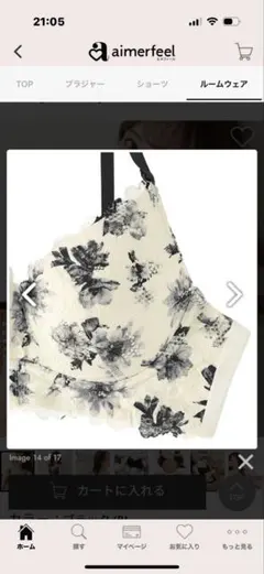 Item thumbnail for item 68125b13-feb6-43f4-ac7e-31fbd971dcfd