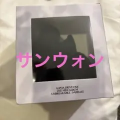 ラスト1点ALD1 VOICE PLUSH KEYRING サンウォン