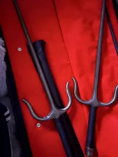 Item thumbnail for item 12624945-f236-4423-b449-0d01628666a0