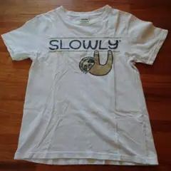 Laundy なまけもの Tシャツ EXTRA SMALL
