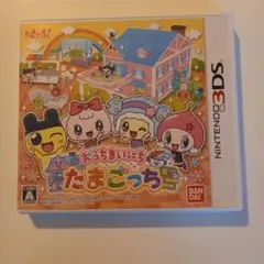 3DS おうちまいにちたまごっち