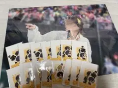STPRFamily EXPO ふぁみくじ すにすて だいきり
