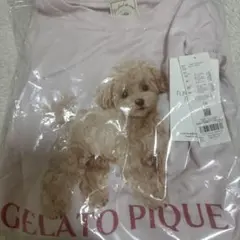 GELATO PIQUE 】トイプードル柄 ルームウェア 上下セット L - メルカリ