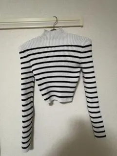 ストライプ タートルネック クロップドニット