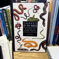 Item thumbnail for item 232b510a-e412-47c5-8b1e-0f09d1718812