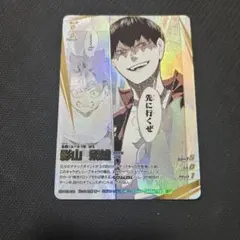 ハイキュー バボカ 頂P 月島蛍 - メルカリ