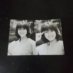 河合奈保子『ミニブロマイド』Kawai Naoko 昭和アイドルグッズ 激レア