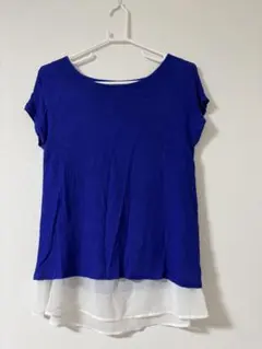 Item thumbnail for item 94c39037-fc9e-4215-8969-87db38db4e5f