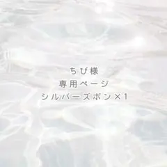 ちび様 専用ページ ୨୧