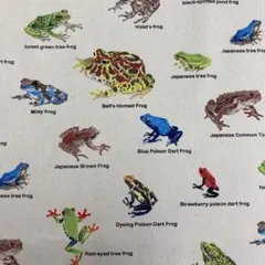 komichi様 リクエスト 3点 まとめ商品