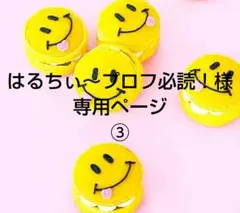 はるちぃ～プロフ必読！様 リクエスト 10点 まとめ商品