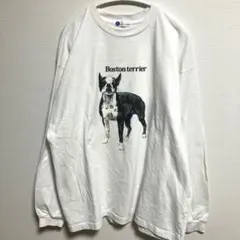 BEAUTY&YOUTH ユナイテッドアローズ　ボストンテリア ロンt