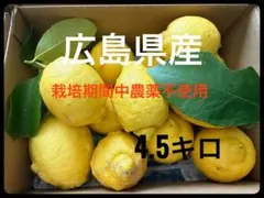 61.国産瀬戸内レモン 農薬不使用 大きめ40〜45個 - メルカリ