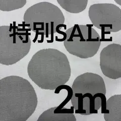 オックス生地　ドット柄