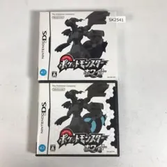 DS ポケットモンスター ホワイト ポケモン SK2541