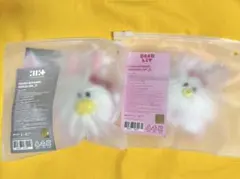 ILLIT 1st アニバーサリー ぬいぐるみ マスコット キーリング イロハ