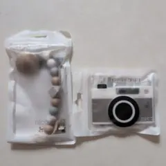 Item thumbnail for item 694e207a-50f2-4087-b3de-9461f6508045