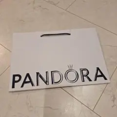 PANDORA ショップ袋 ショッパー 紙袋(大)のサムネイル