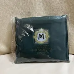 ディズニーシー　ミラコスタ　エコバッグ 新品