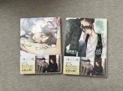 美しい彼 1巻・2巻セット