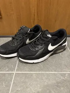 Nike Air Maxブラック　28.5cm
