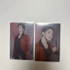 HOSHI POWER OF LOVE タレントカード 2枚セット