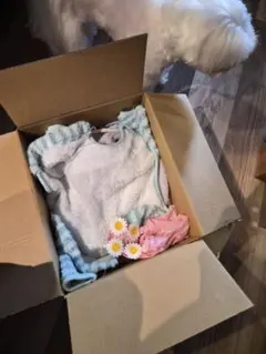 ペット服　sサイズ　すべて　10点以上セットで