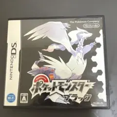 ポケットモンスター ブラック ニンテンドーDS