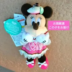 ミニー　ぬいバ　ぬいぐるみバッジ ヴァネロペのスイーツフルタイム　パルパルーザ