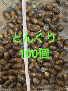 Item thumbnail for item ead3891e-7b6c-4b29-89da-1dbc514357d8