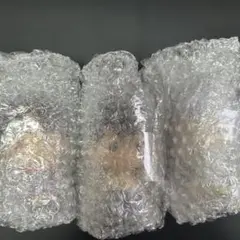 一番くじ 幽遊白書 F賞 SOFVICちゅ 幽助 蔵馬 コエンマ