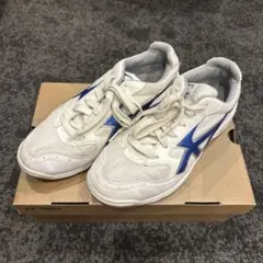 Item thumbnail for item d5a0623a-a66c-4a8b-95c8-a5bb917a94f4