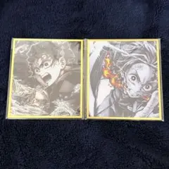 鬼滅の刃 WEBSHOPくじ アクリル色紙 無限城編 竈門炭治郎 2枚セット
