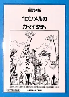 ONE PIECE 扉絵ブロマイド