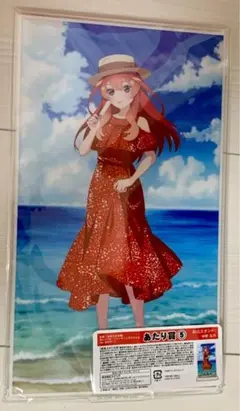 映画 五等分の花嫁 あたりツキ!トレーディングアクスタ あたり賞　中野五月
