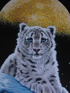 沈んだ宝物　シムシメール 沈んだ宝物 シムシメール - メルカリ