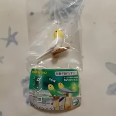 インコ ヌードルクリップ オカメインコ（イエロー×ホワイト）