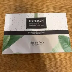 ESTEBANのサムネイル