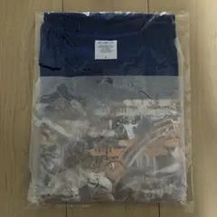 東北みやぎ復興マラソン2024 第32回　Tシャツ　Mサイズ 参加賞