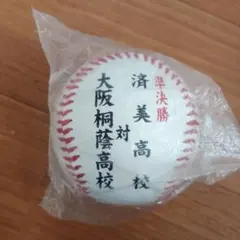 【未開封】第100回全国高校野球選手権記念大会 記念ボールのサムネイル