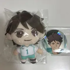 ハイキュー セガラッキーくじ　ぬいぐるみ　缶バッジ　及川 徹