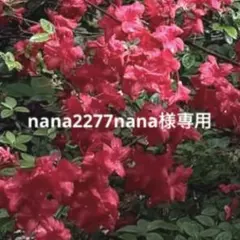 nana2277nana様専用　ガラスビーズブレスレット　合計3個