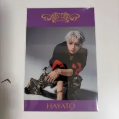 ONE Ｎ’ ONLY ワンエン AMAZONIA クリアシート HAYATO