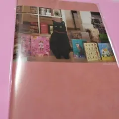 Item thumbnail for item 2ee87f03-d893-402d-8c4c-2170ab210e7f