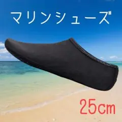 25cm マリンシューズ　アクアシューズ　アウトドア　海　川　レジャー　軽量